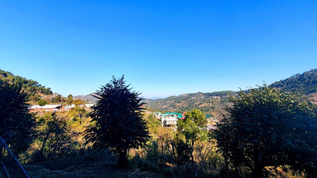 Wildleaf Kasauli Valley Homz Bed and Breakfast Buitenkant foto